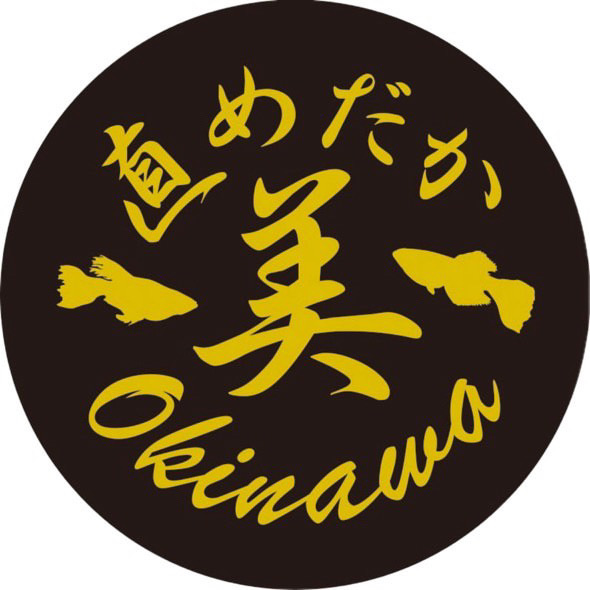 直めだか　金塊　1p 12/31 21:10 終了　配達に関しては年末年始のため取引メッセにて調整