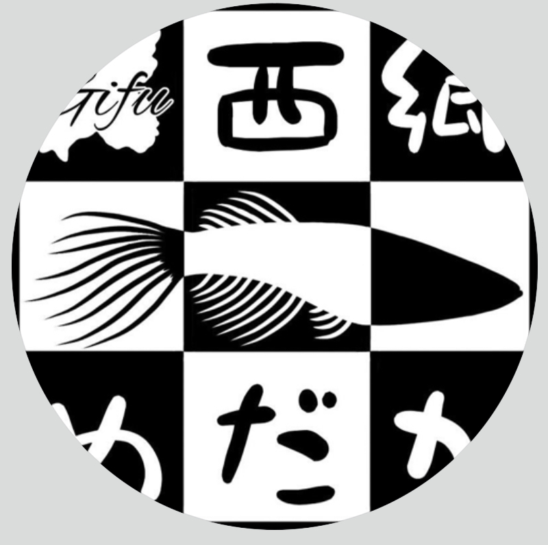 🔥 西郷めだかブリード　カルマ　1p 2/12 21:10終了 [ID:4289]