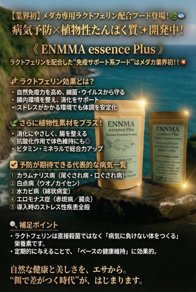 ENNMAエッセンスPlus　20ｇ